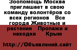 Зоопомощь.Москва приглашает в свою команду волонтёров со всех регионов - Все города Животные и растения » Пропажи и находки   . Крым